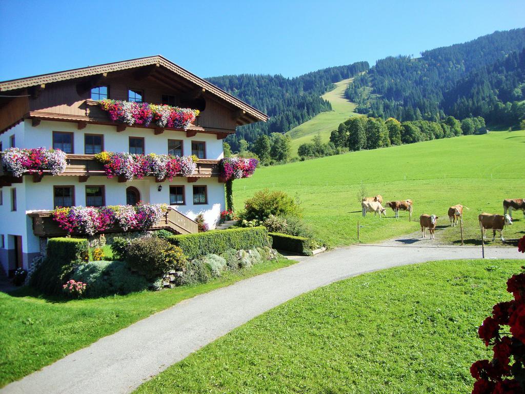 Ferienwohnung Sixenhof Niederau Exterior foto