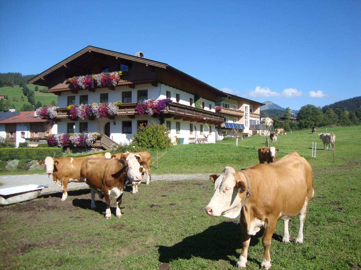 Ferienwohnung Sixenhof Niederau Exterior foto